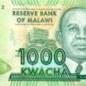 1000 квача Малави 2013 года p62b