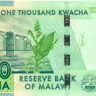1000 квача Малави 2013 года p62b