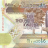 5000 квача Замбии 2003-2012 года р45