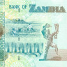 10 квача Замбии 2012-2014 года р51