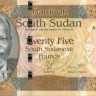 25 фунтов Южного Судана 2011 года р8