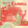 50 квача Замбии 1992-2001 года р37