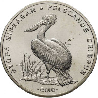 50 тенге, 2010 г. Кудрявый пеликан