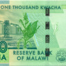 1000 квача Малави 2014-2021 года p67