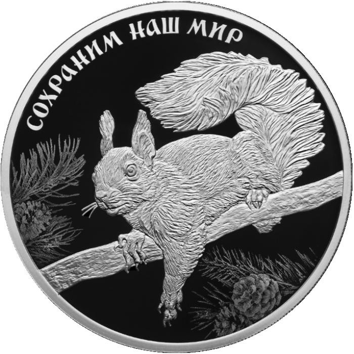 3 рубля. 2023 г. Белка обыкновенная